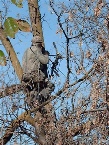 Treesuit Hunting