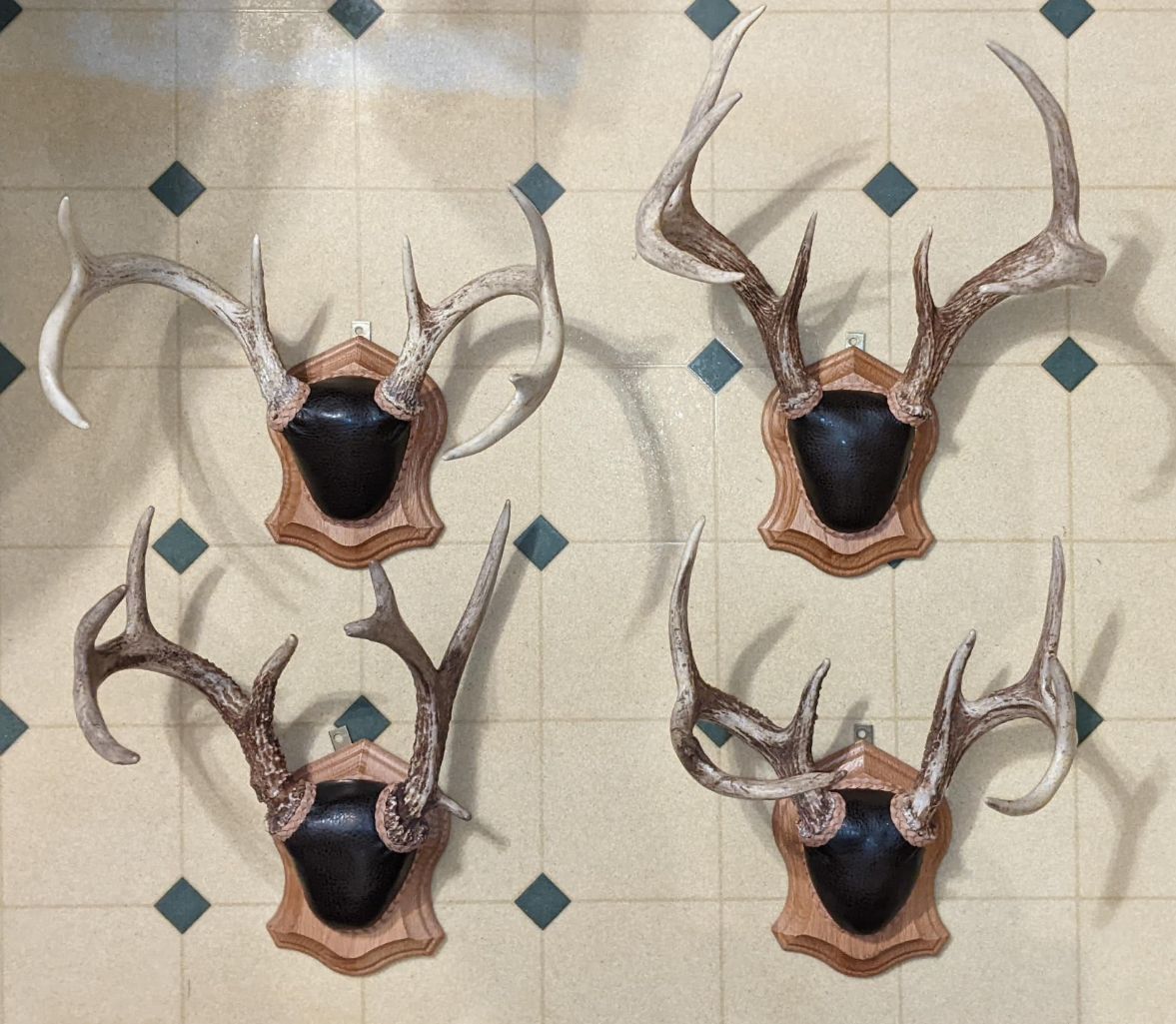 First four antler plaques I have ever made
