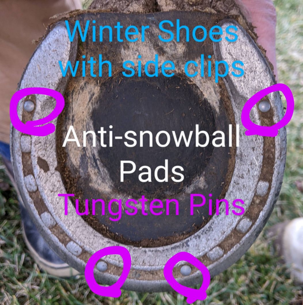 Winter front shoe with side clips and tungsten pins and anti-snowball pads
